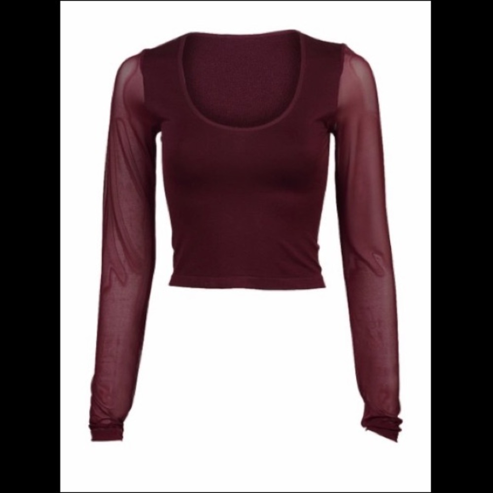 Forever 21 Wine Sheer-Sleeve Crop Top